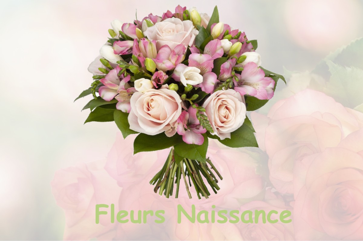 fleurs naissance SAUZE